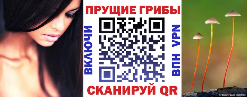 Псилоцибиновые грибы мухоморы купить ОМГ ОМГ сайт Яблоновский